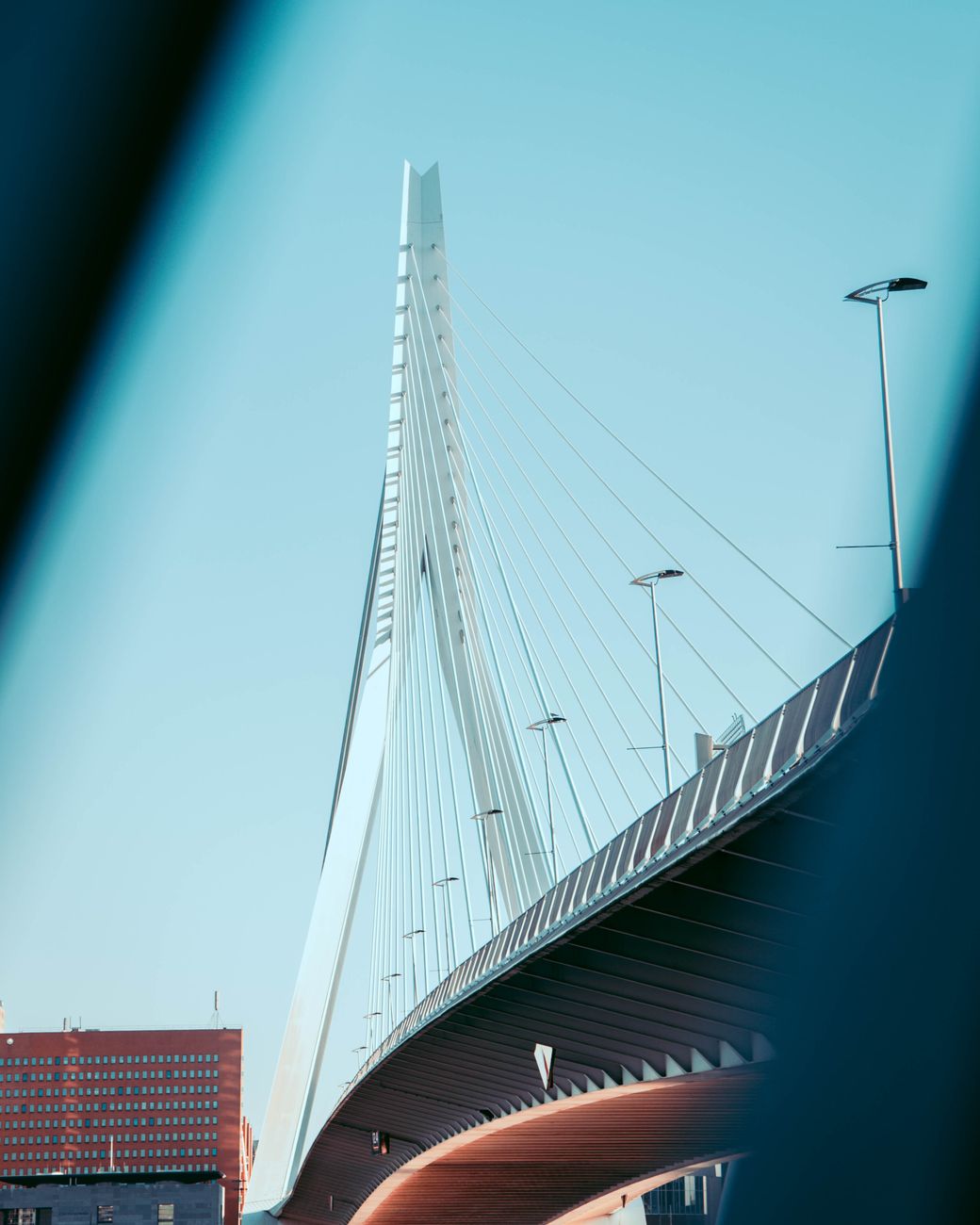 Stadsgezicht van Rotterdam